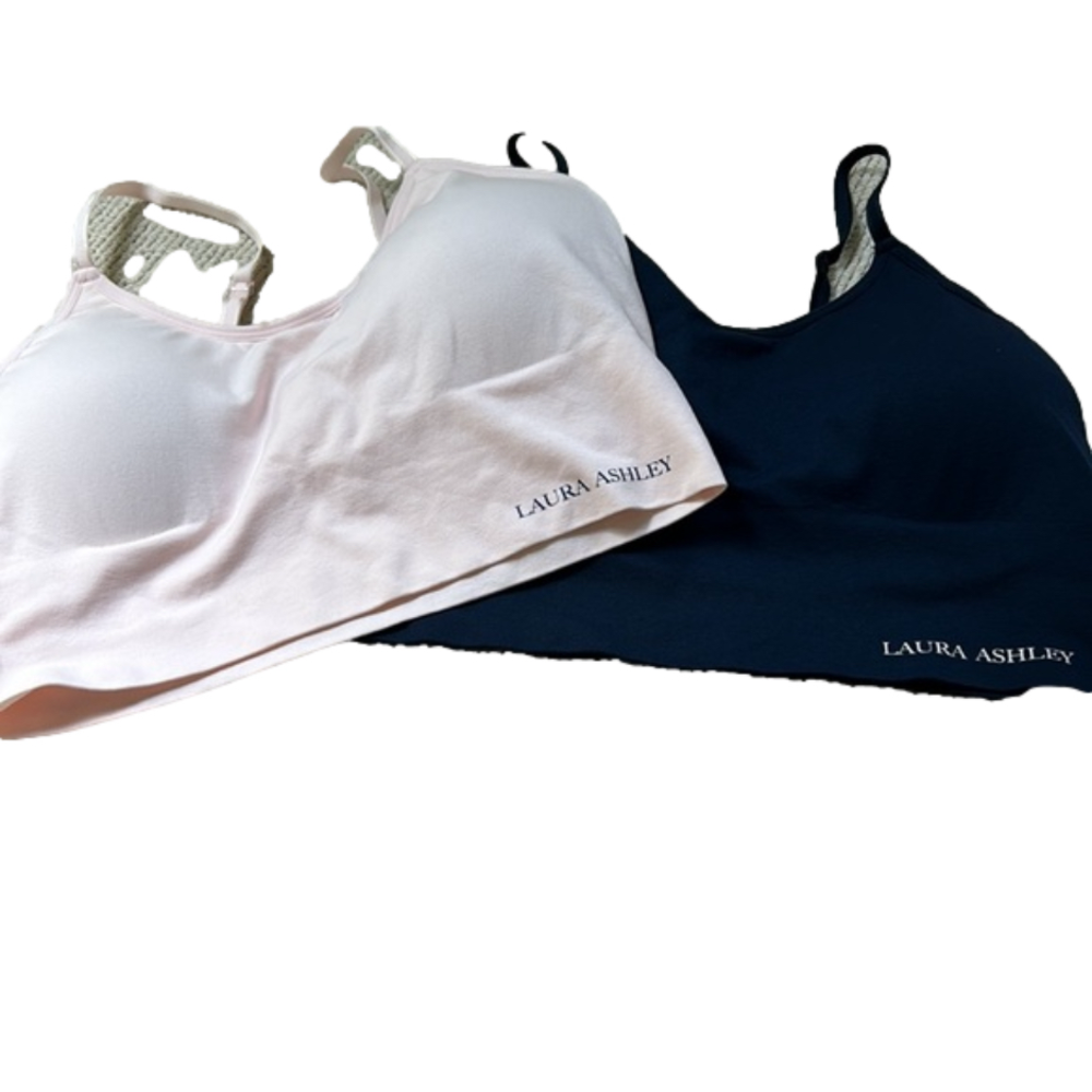 🌿Laura Ashley pink/blue two pack- bra size 2x🌿